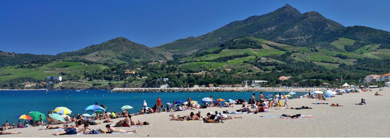 Maison Charmante A Argeles Sur Mer Pres De La Plage Avec Piscine Partagee Bagian luar foto